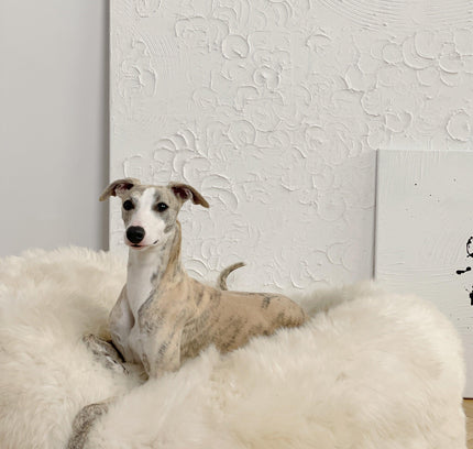 Oval Natural Sheepskin Pet Bed - White-1