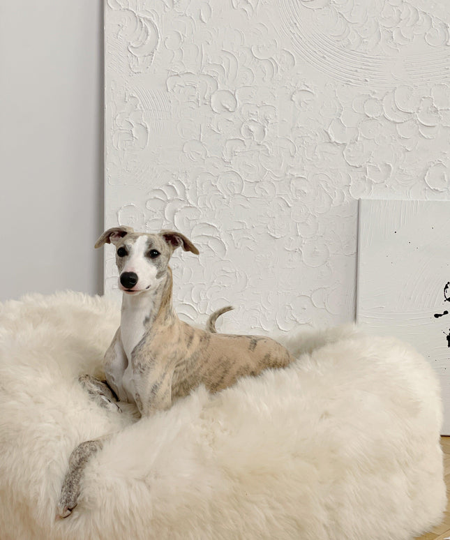 Oval Natural Sheepskin Pet Bed - White-1