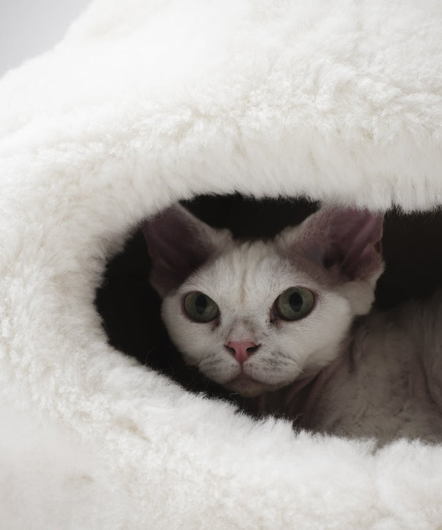 Nest Natural Sheepskin Pet Bed - White-1