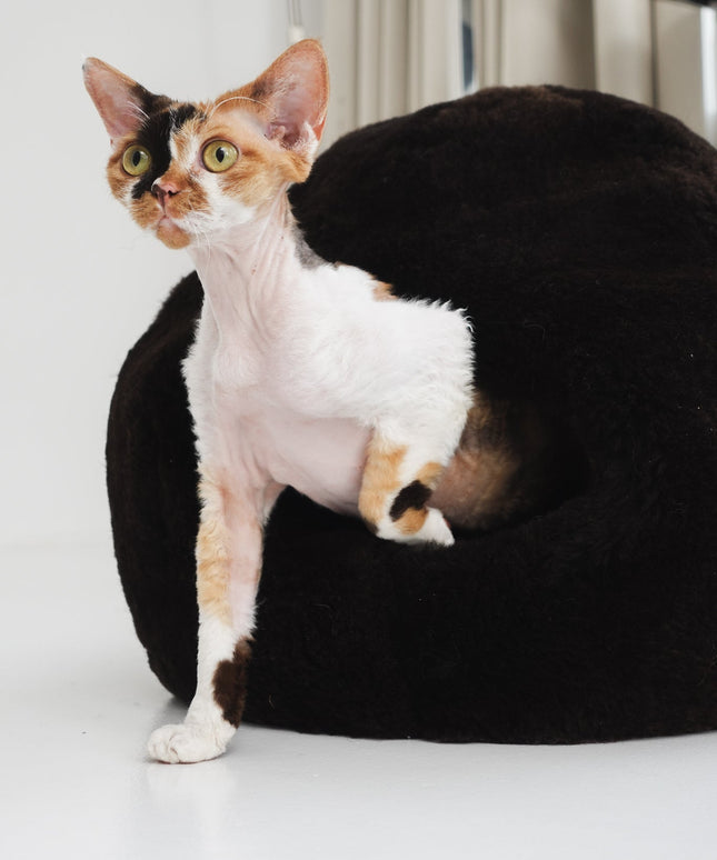 Nest Natural Sheepskin Pet Bed - Brown-3