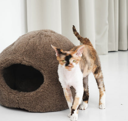 Nest Natural Sheepskin Pet Bed - Beige-0