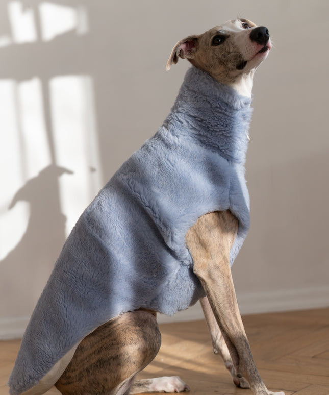 Woolen Dog Vest - Blue-1