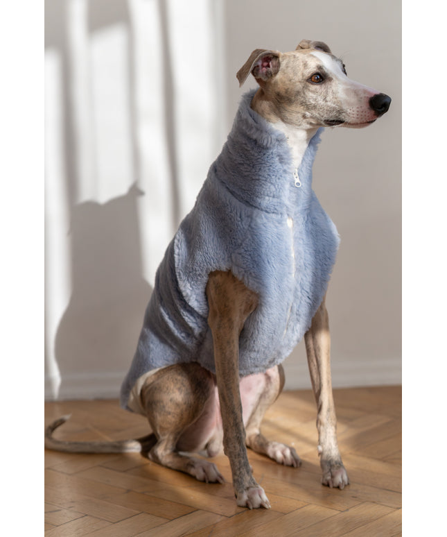 Woolen Dog Vest - Blue-0