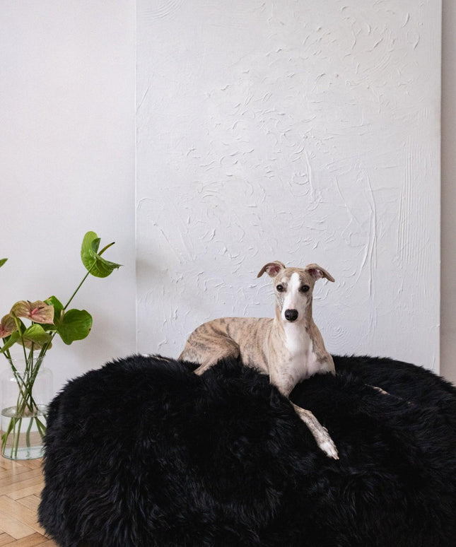 Oval Natural Sheepskin Pet Bed - Black-3