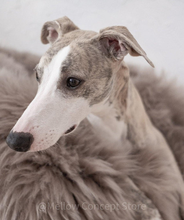 Oval Natural Sheepskin Pet Bed - Greige-3