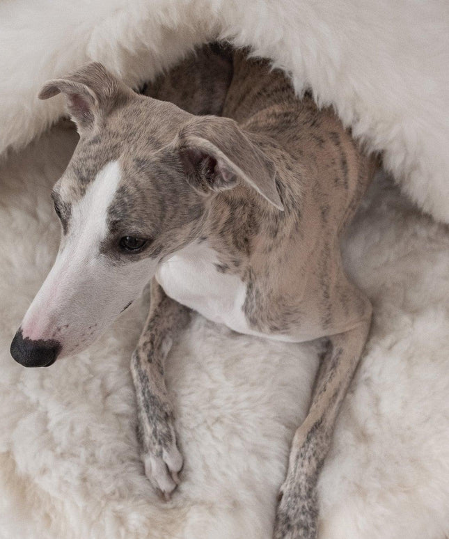 Natural Sheepskin Pet Cave - White-4