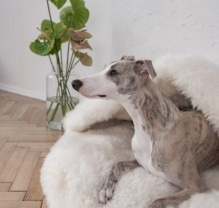 Natural Sheepskin Pet Cave - White-2
