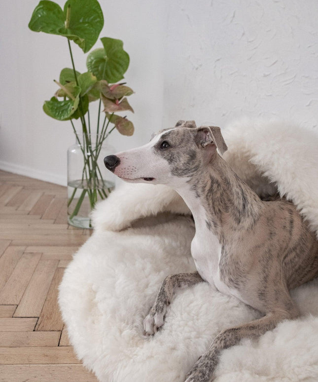 Natural Sheepskin Pet Cave - White-2