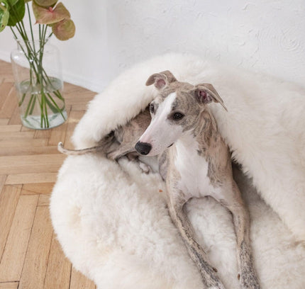 Natural Sheepskin Pet Cave - White-1