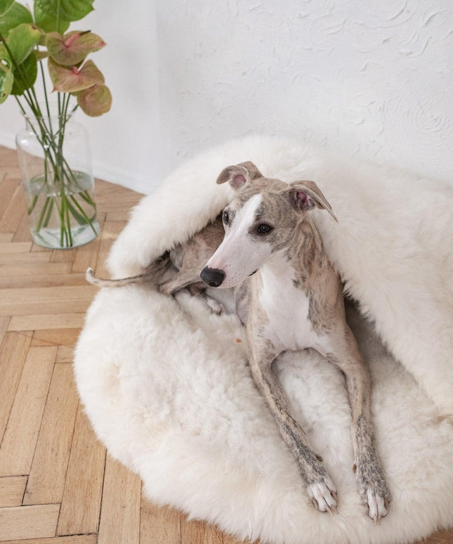 Natural Sheepskin Pet Cave - White-1