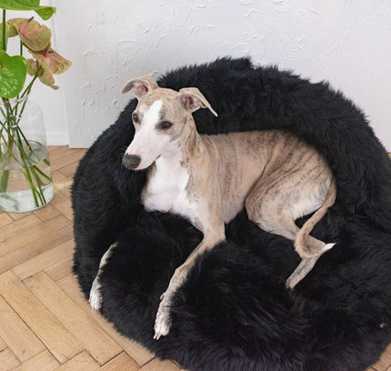 Natural Sheepskin Pet Cave - Black-1
