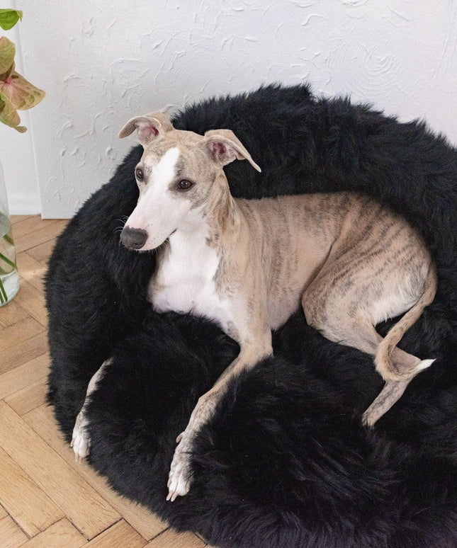 Natural Sheepskin Pet Cave - Black-1