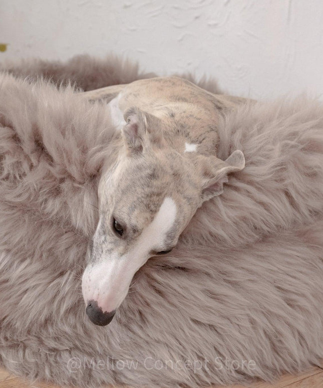 Oval Natural Sheepskin Pet Bed - Greige-4
