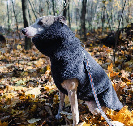 Woolen Dog Vest - Charcoal-3