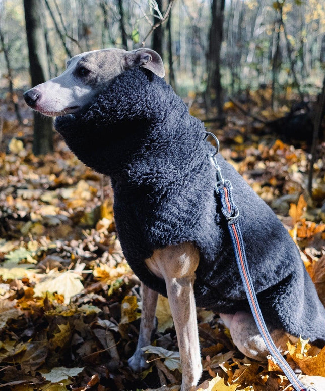 Woolen Dog Vest - Charcoal-3