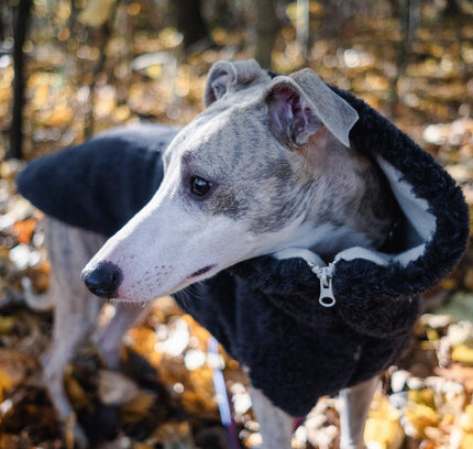 Woolen Dog Vest - Charcoal-2