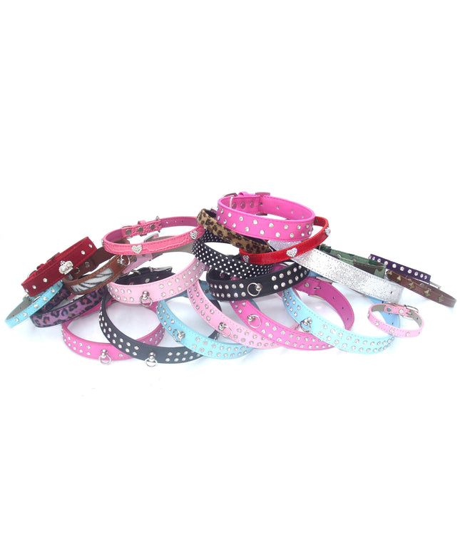 The Dog Collection Starter Bundle-0