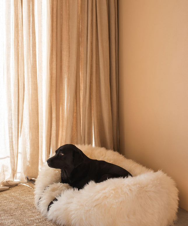 Oval Natural Sheepskin Pet Bed - White-4