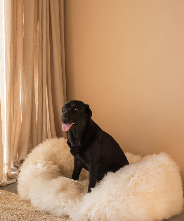 Oval Natural Sheepskin Pet Bed - White-3