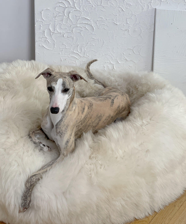 Oval Natural Sheepskin Pet Bed - White-2