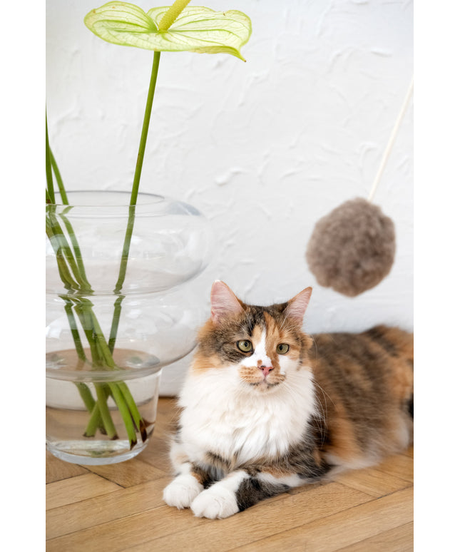 Natural Woolen Cat Toy: Ball-0