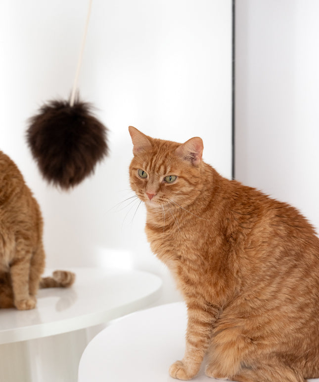 Natural Woolen Cat Toy: Ball-2