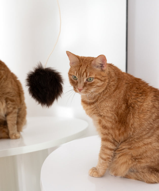 Natural Woolen Cat Toy: Ball-3