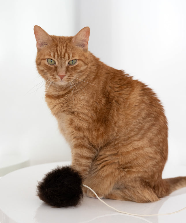 Natural Woolen Cat Toy: Ball-4