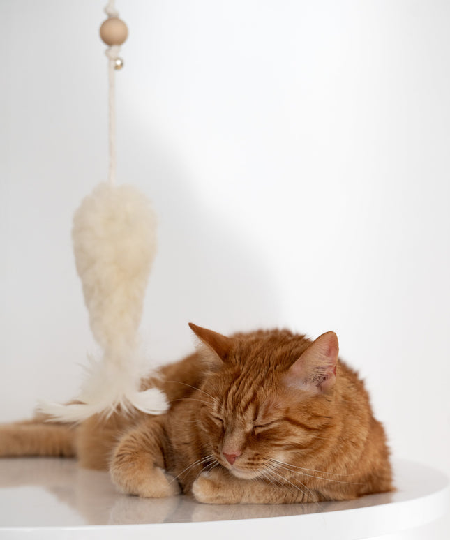 Natural Sheepskin Cat Toy: Fish-2