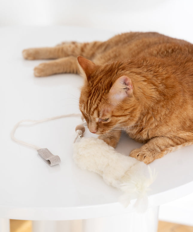 Natural Sheepskin Cat Toy: Fish-3