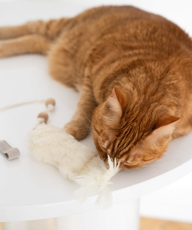 Natural Sheepskin Cat Toy: Fish-4
