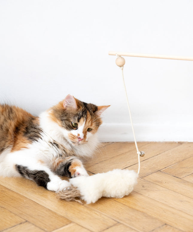 Natural Sheepskin Cat Toy: Fish-1
