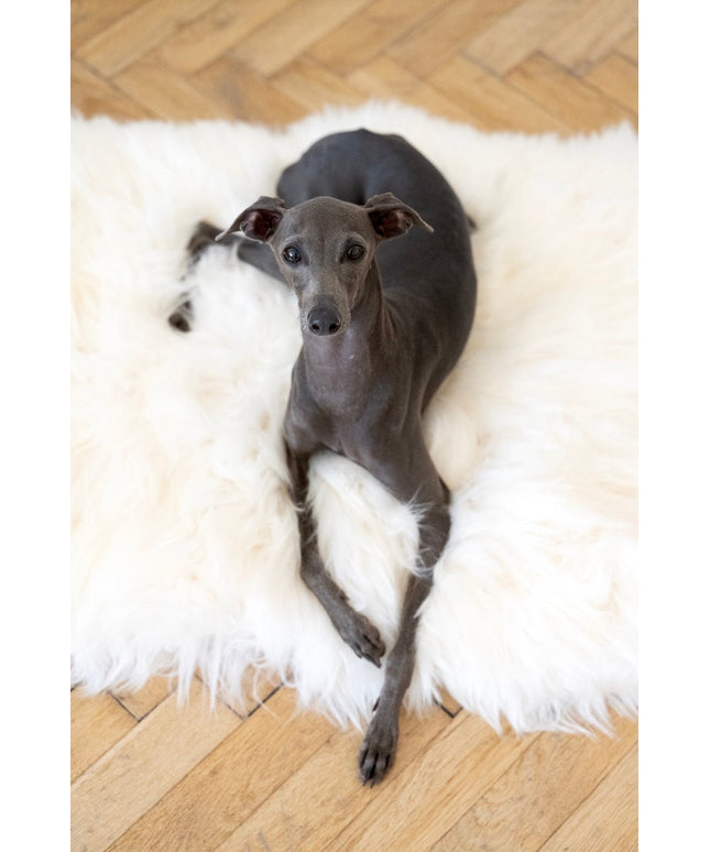 Square or Rectangular Natural Sheepskin Pet Mat - White-0