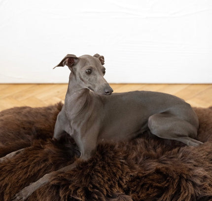 Square or Rectangular Natural Sheepskin Pet Mat - Brown-0