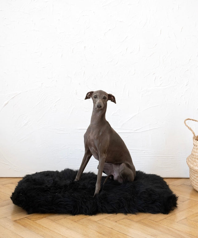 Square or Rectangular Natural Sheepskin Pet Mat - Black-2