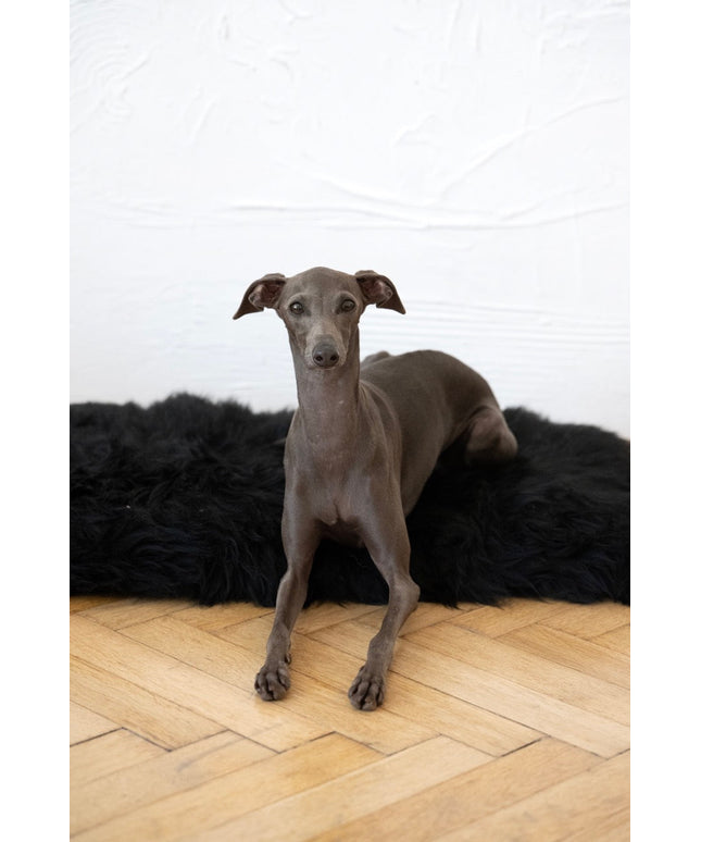 Square or Rectangular Natural Sheepskin Pet Mat - Black-0