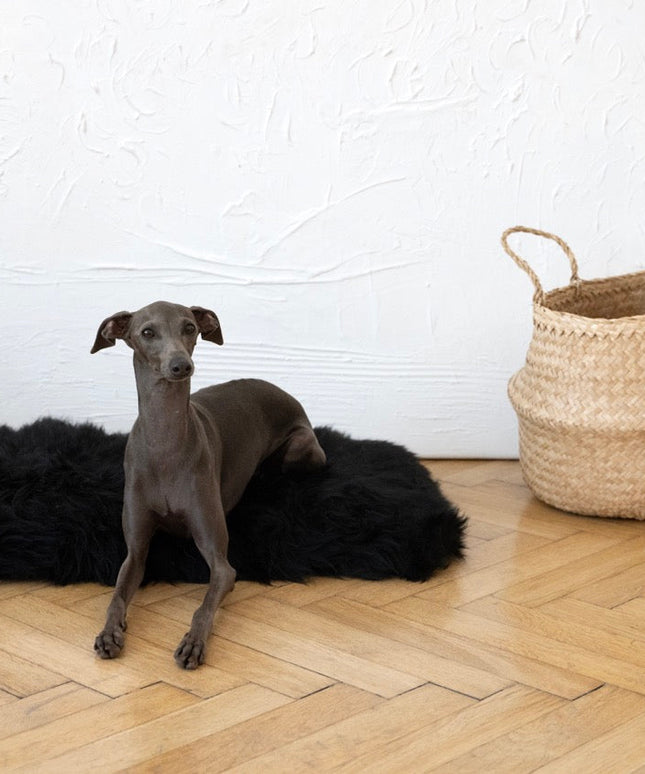 Square or Rectangular Natural Sheepskin Pet Mat - Black-1