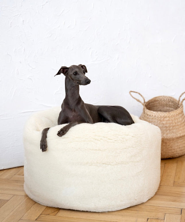 Oval Natural Wool Pet Bed - White-3
