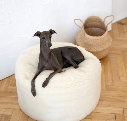 Oval Natural Wool Pet Bed - White-0