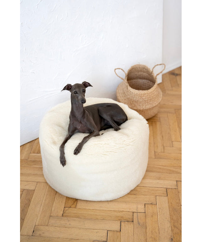 Oval Natural Wool Pet Bed - White-0