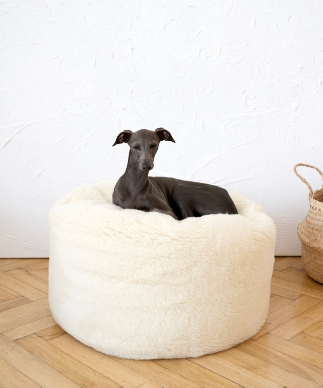 Oval Natural Wool Pet Bed - White-2