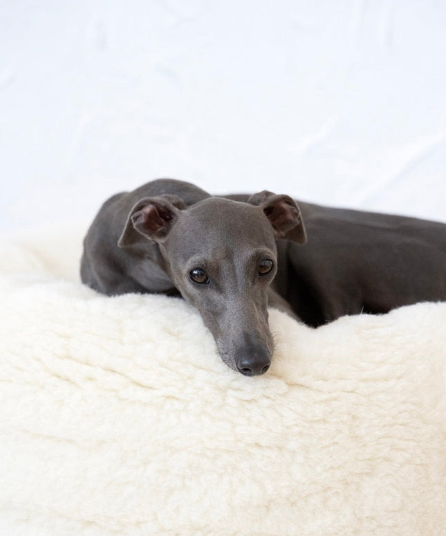 Oval Natural Wool Pet Bed - White-1