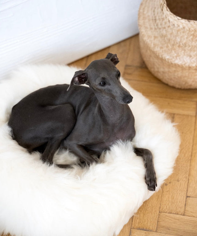 Round Natural Sheepskin Pet Bed - White-3