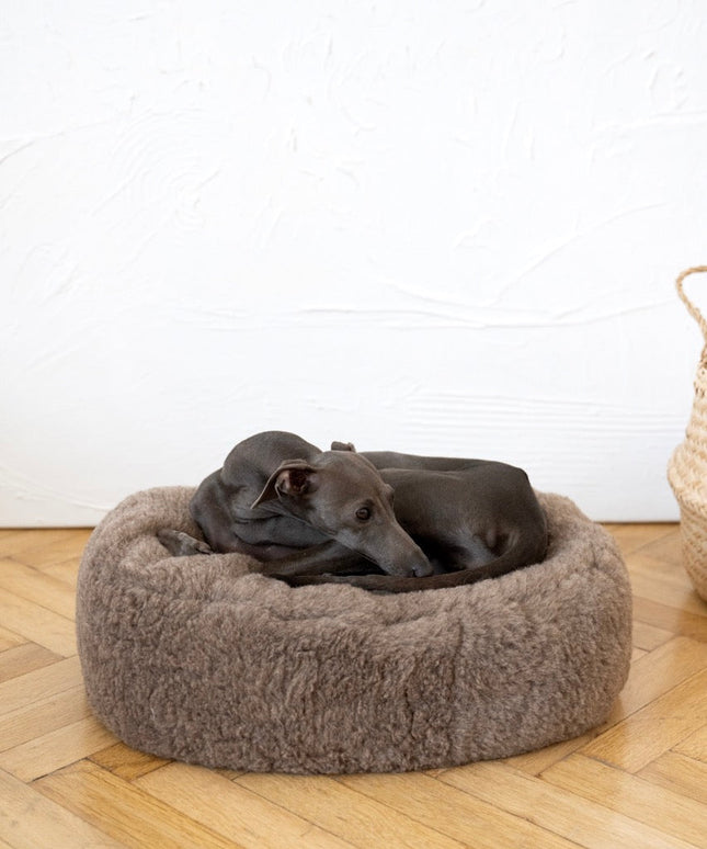 Oval Natural Wool Pet Bed - Beige-3