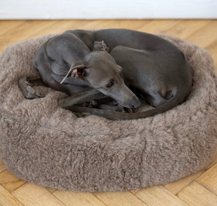 Oval Natural Wool Pet Bed - Beige-4