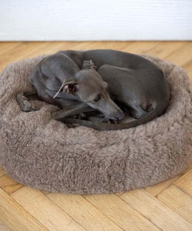 Oval Natural Wool Pet Bed - Beige-4