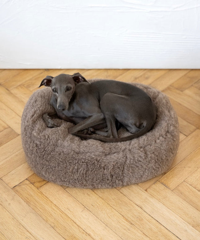 Oval Natural Wool Pet Bed - Beige-1