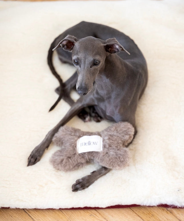 Natural Woolen Dog Toy - Bone - Charcoal-2
