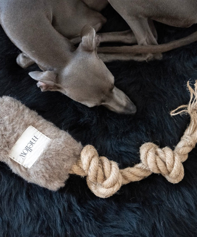 Natural Woolen Dog Tug Toy - Beige-1