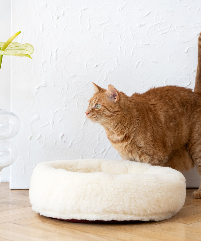 Round Natural Wool Pet Bed - White-3